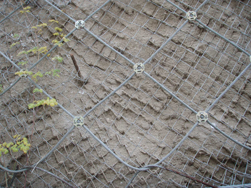 邊坡防護(hù)網(wǎng) (3)